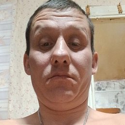 ������, ���, 41 ���