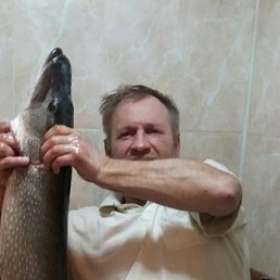 ����, ������, 59 ���