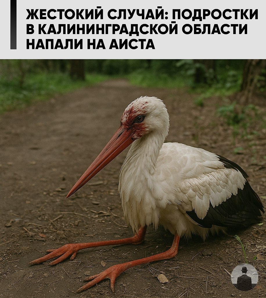 � ����� �� ��������� ������� ��������������� ������� ��������� ��������, ������� ��������� ������� ...