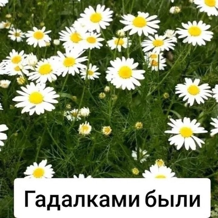       - 17  2025  14:32 - 8