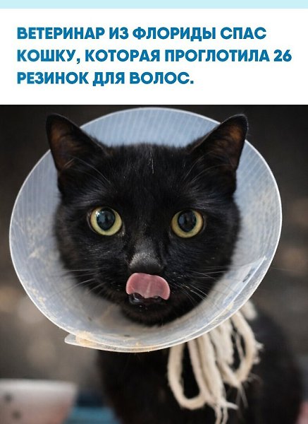 ���o��oe �p��e��� � ������� c �p����ec���� �po��e�a�� c ���e����o�, � e���c��e���� ���o�o� �a�a�oc� ...
