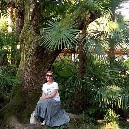 ��������, �������