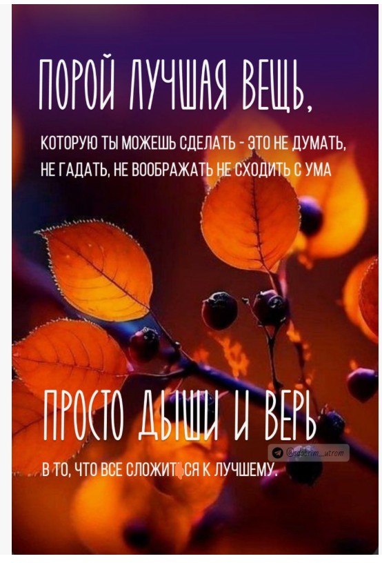 ОБО ВСЕМ - 28 октября 2025 в 14:39