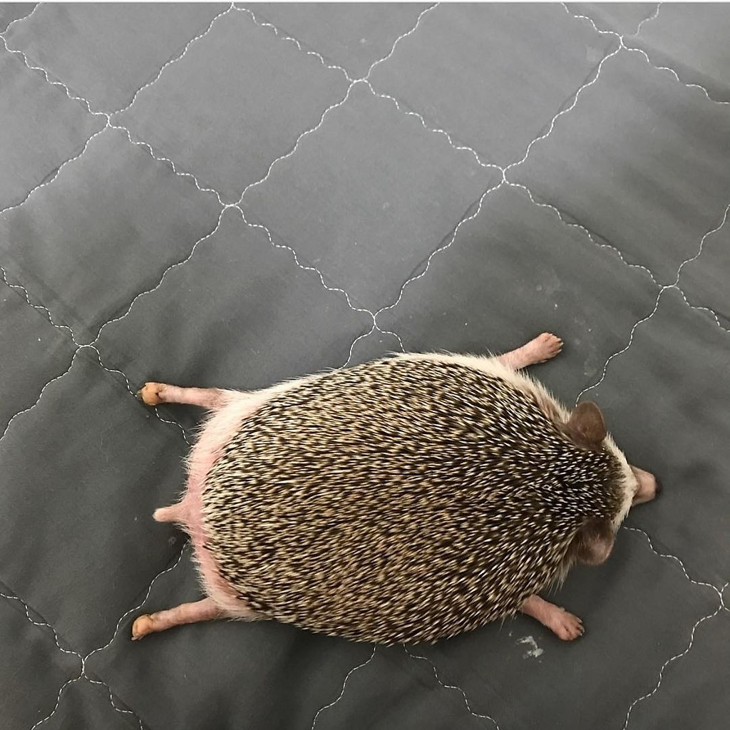 :         ,   .  11 ... - 2