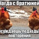 ���� ����������, ������, 46 ��� - ��������� 3 ������� 2023 � ������ ���� ����������
