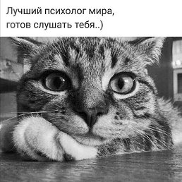 Di, ������