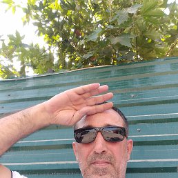 , 53, 