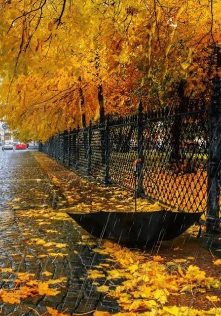 c.   .  c . c.    ! c . ...