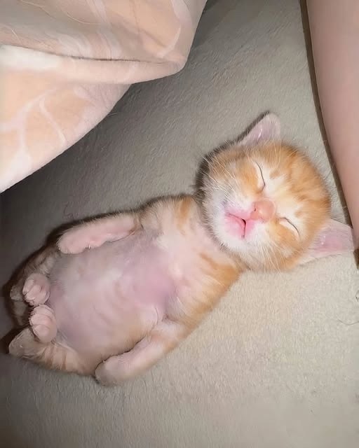  !