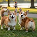 ������ � �����)) �� ������� ���� ����������