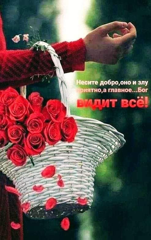  Ҩ    " "  Ũ ,  ! @}-}— ...