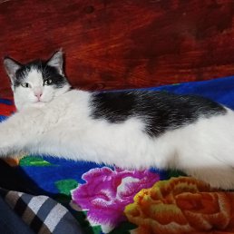 ���� ����, �����, 40 ��� - ��������� 13 ������� 2023