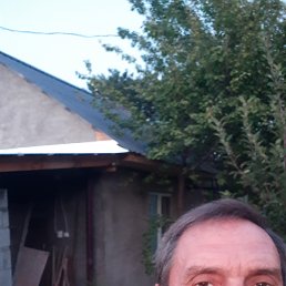 , 58, 