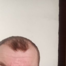 �������, �����, 43 ����