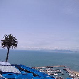 ���� �������, ����� - ��������� 29 ������� 2025