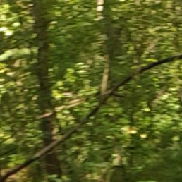 ��������, �����, 34 ����