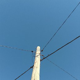 ������� ���������, ������, 41 ���