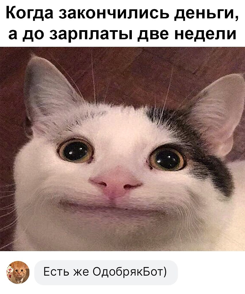 ��� ����� ��� - https://fotostrana.ru/away?to=/sl/PGV3