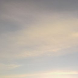 �����, �����, 51 ���