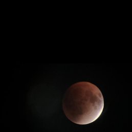 ���� �����, ��������� - ��������� 7 �������� 2025