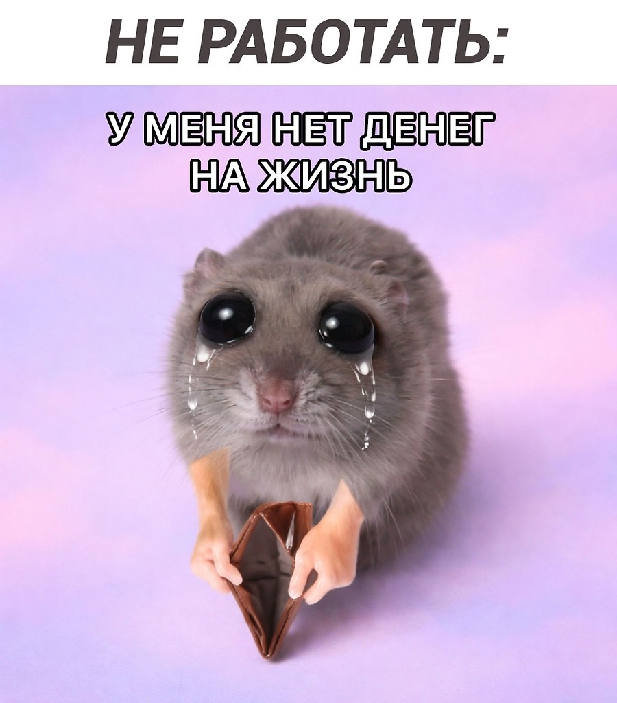 � ��� ����� ���� ������? - 2