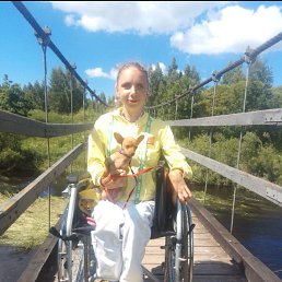 ��������, 33 ����, ������