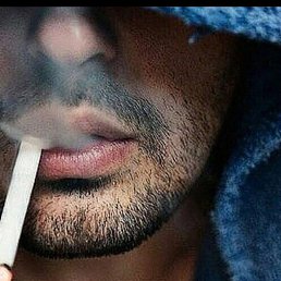 ���� ������, ����������, 33 ���� - ��������� 6 ������ 2026