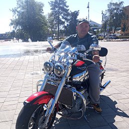 ��������, ���������, 42 ����