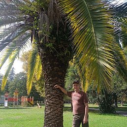 �����, ���������, 54 ����