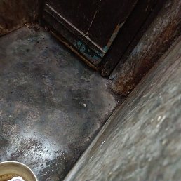 Rohit, ���-����, 25 ���