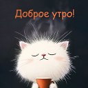 ���� ������, ����������, 46 ��� - ��������� 23 ������� 2024