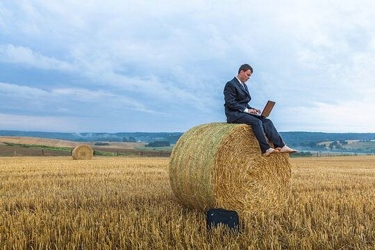 КУПЛЕННЫЙ ЗЯТЬ.- Вот Надька, любуйся теперь, - выговаривал злой Игнат супруге, - Каку свинью нам ...