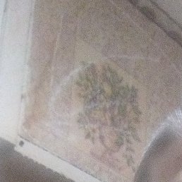 ����, ����-���������, 18 ���