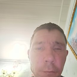 ������, 39 ���, ������