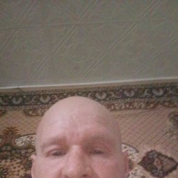 ����, 49 ���, ������