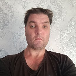 , 37, 