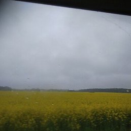 ��������, �����, 55 ���