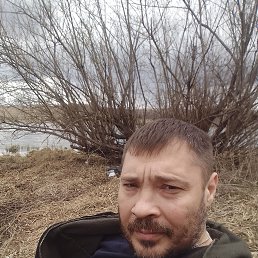 , 46, 