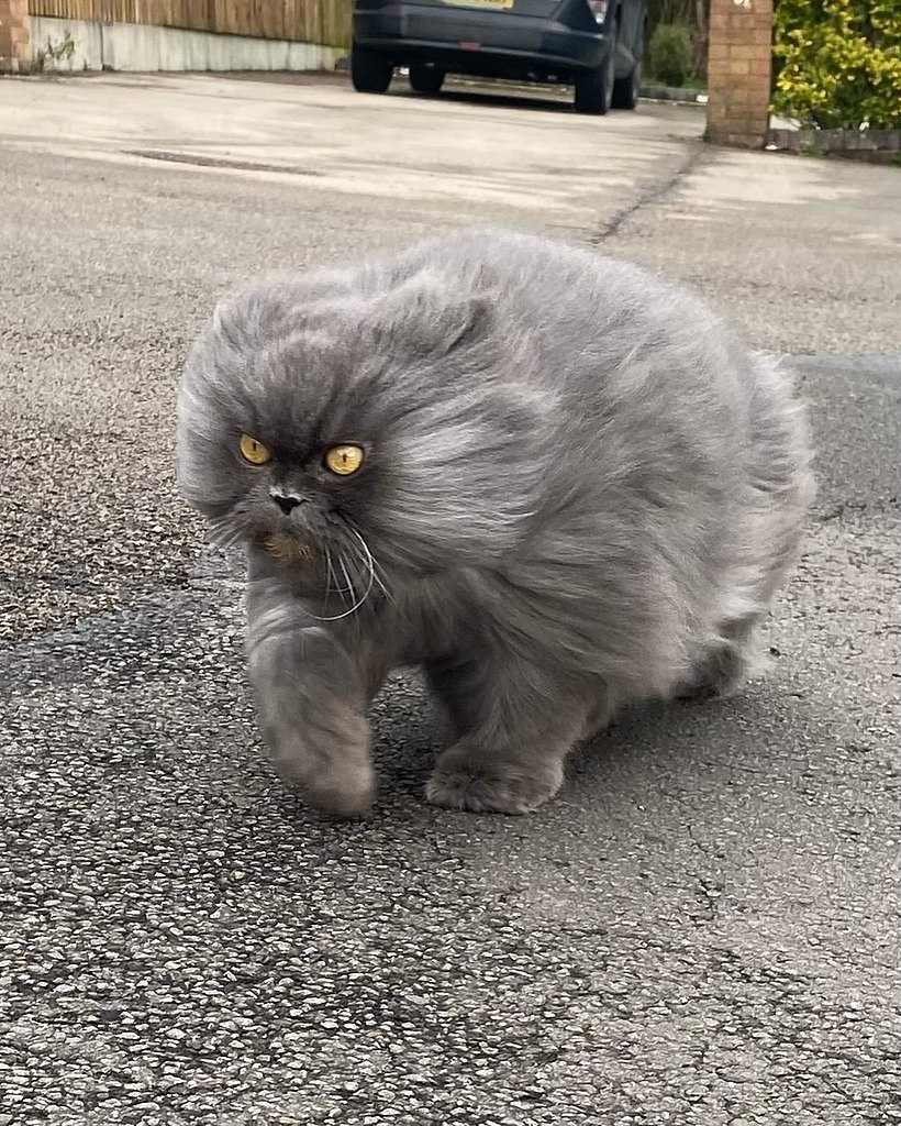 ,   ! ,           - 2