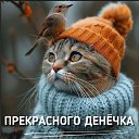���� ����, ��������� - ��������� 1 ����� 2026 � ������ ������ ��������