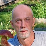 �����, 62 ����, ������