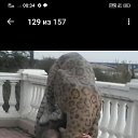 ���� ������, ���, 53 ���� - ��������� 24 ������� 2025 � ������ ���� ����������