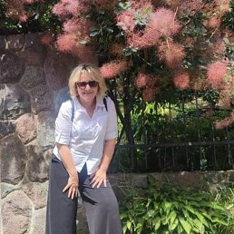 , 54, 