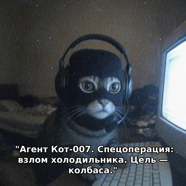 Специально для тебя и твоей команды — уникальные аватары, которые привлекают внимание - 3