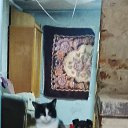 ���� �����, �������, 43 ���� - ��������� 18 ����� 2026