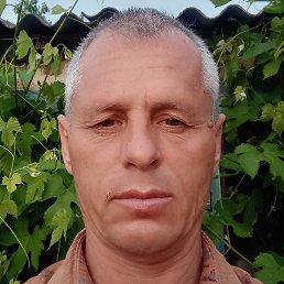 ����, ���������, 44 ����