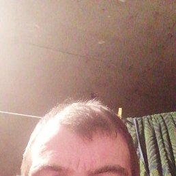, 39, 