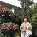 ���� �������, ������-��-���� - ��������� 13 ������� 2024 � ������ ���� ����������