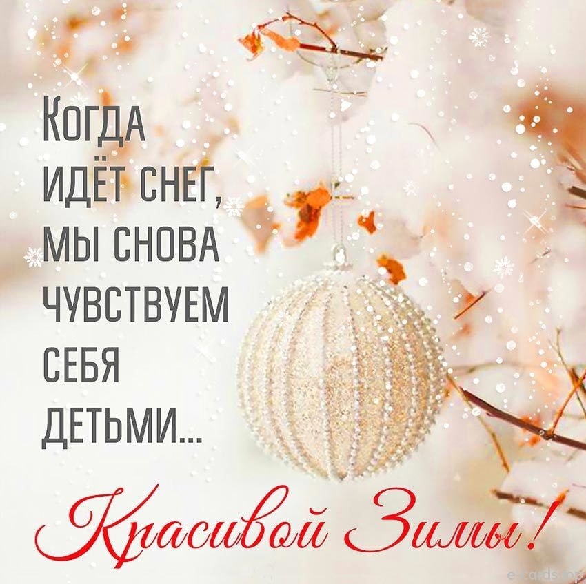   ,    . - 8  2025  14:16