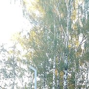 ��������, 69 ���, ����-�������